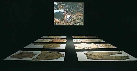 Bienal: 8ª Bienal de Artes Visuales del Istmo Centroamericano — imagen 7
