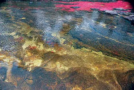 Bienal: Fotográfica Bogotá 2013 — imagen 2