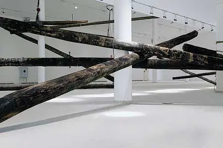 Exposición Individual: Carlito Carvalhosa — imagen 1
