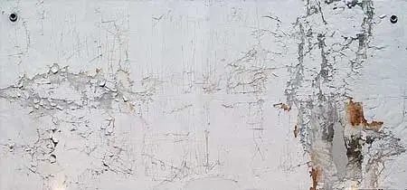 Colectiva: 2013 California-Pacific Triennial — imagen 2
