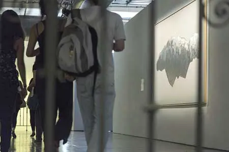 Bienal: IX Bienal del Mercosur — imagen 6