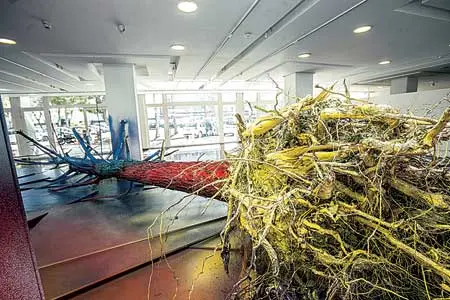 Bienal: Bienal de Curitiba — imagen 7