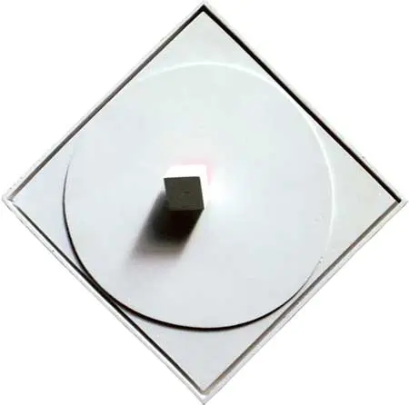 &nbsp;: Luis Tomasello — imagen 4