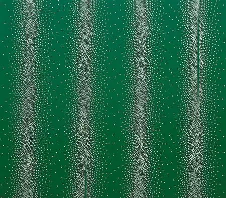 Monografía: Fabián Burgos — imagen 8