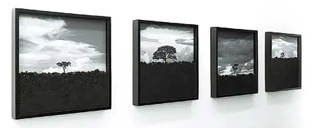 Exposición Individual: Pedro Motta — imagen 1