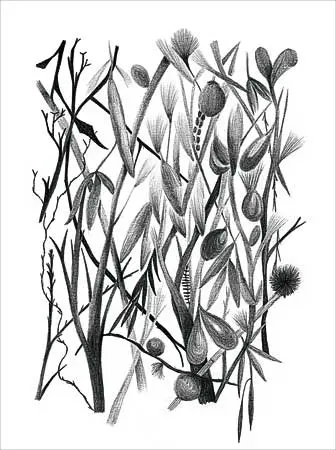 Bienal: SITElines  — imagen 6