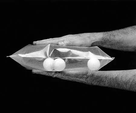Exposición: Lygia Clark — imagen 3