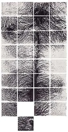 Bienal: Bienal de São Paulo  — imagen 9