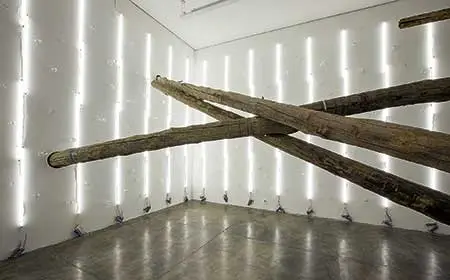 Exposición Individual: Carlito Carvalhosa — imagen 1