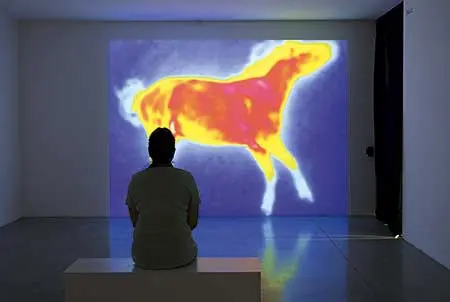 Colectiva: 19 Bienal de Arte Paiz — imagen 7
