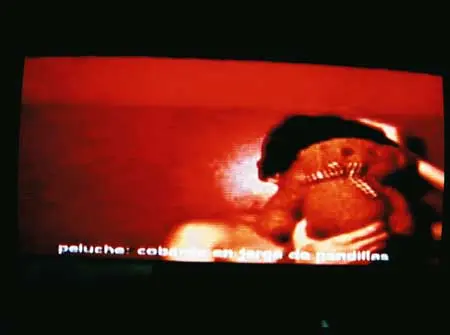 IV Bienal de Artes Visuales Nicaraguenses
Fundacion Ortiz ?Guardian