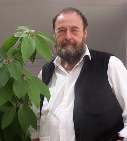Harald Szeemann