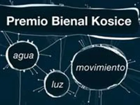 Premio Bienal Kosice
