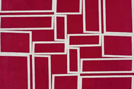 Helio Oiticica: restauración luego del incendio