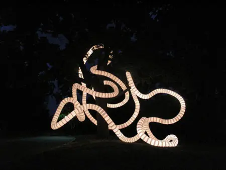 Imagen 1 - Light Art Biennale 2010