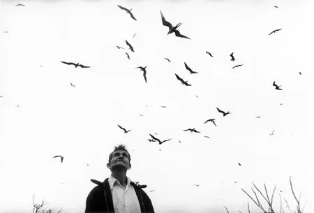 Imagen 1 - Graciela Iturbide. Retrospective (1969-2008)