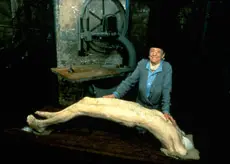 Complex and FascinatingLouise Bourgeois at Proa Foundation