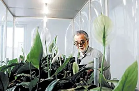 Luis F. Benedit