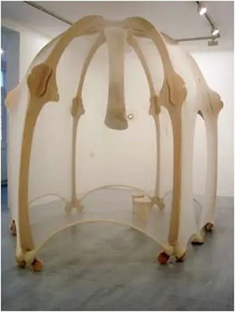 Arte Brasilero en el IVAM