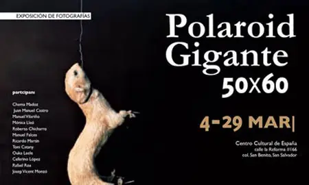 Polaroid Gigante 50 x 60