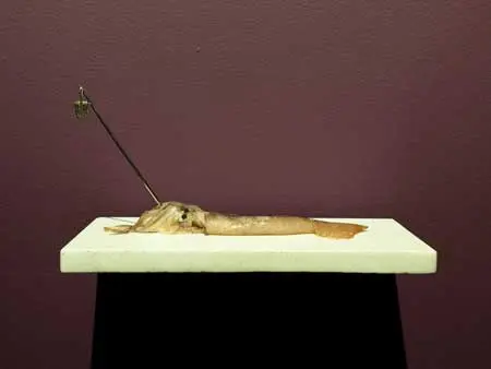 Imagen 1 - Group Exhibition:  Here, There