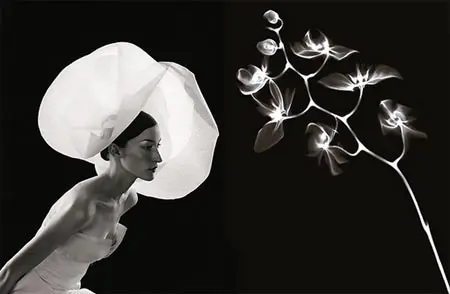 Contraluz  Fotografías de Juan Gatti