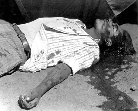 Manuel Álvarez Bravo, fotógrafo en búsqueda