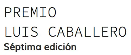 VII edición del Premio Luis Caballero