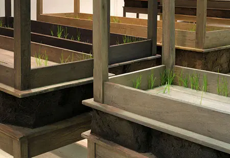 Doris Salcedo: Plegaria muda