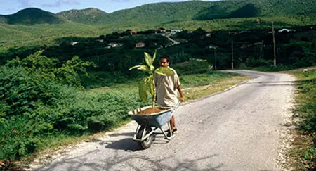 Under the Same Sun: Art from Latin America Today
