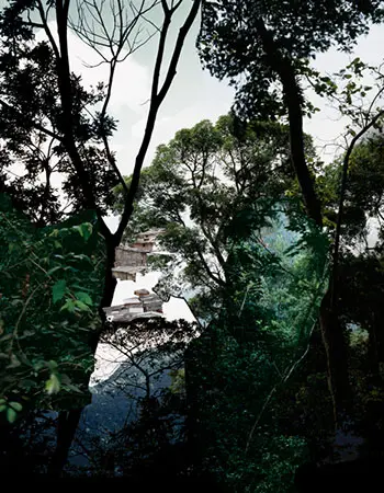 Caio Reisewitz