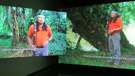 Imagen 1 - Selva Cosmopolítica