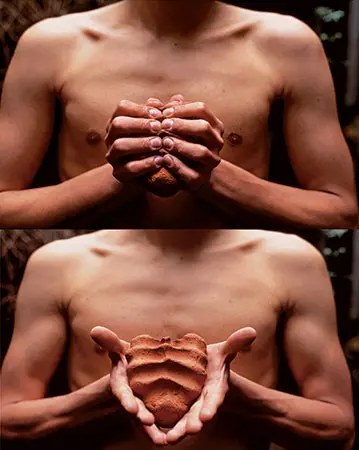 Imagen 2 - Gabriel Orozco – Inner Cycles