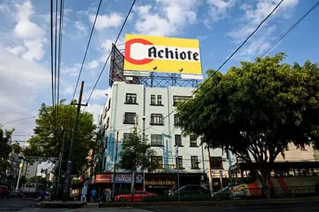 Imagen 1 - Achiote