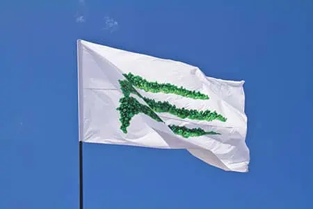Imagen 3 - Re:Bandera