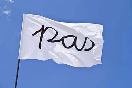 Imagen 4 - Re:Bandera