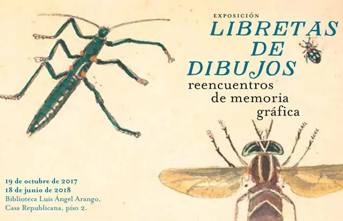 Libretas de dibujos: reencuentros de memoria gráfica