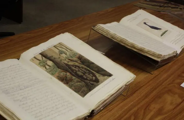 Imagen 1 - Libretas de dibujos: reencuentros de memoria gráfica