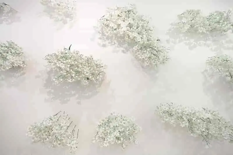 Imagen 1 - Campo a través. Arte colombiano en la colección del Banco de la República