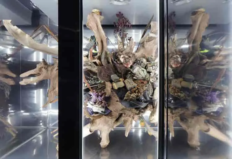 Últimos meses de la muestra de Adrián Villar Rojas en el MOCA de Los Ángeles.