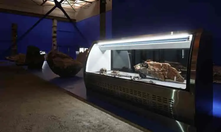 Imagen 1 - Últimos meses de la muestra de Adrián Villar Rojas en el MOCA de Los Ángeles.
