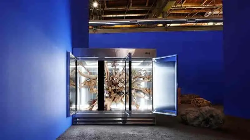 Imagen 2 - Últimos meses de la muestra de Adrián Villar Rojas en el MOCA de Los Ángeles.