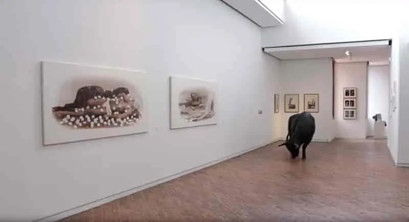 El arte de la desobediencia, en el MAMBO