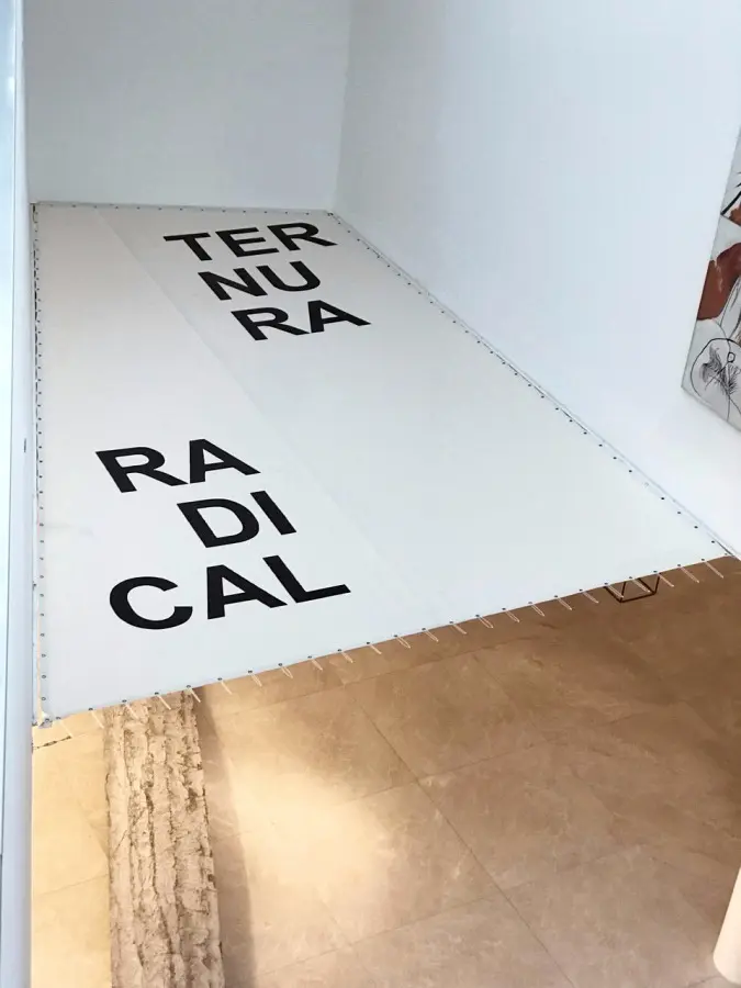 Imagen 1 - Iván Argote, en el MALBA