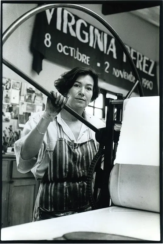 El MUAC presenta Virginia Pérez-Ratton. Centroamérica: Deseo de lugar